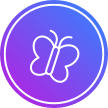 Social Butterfly